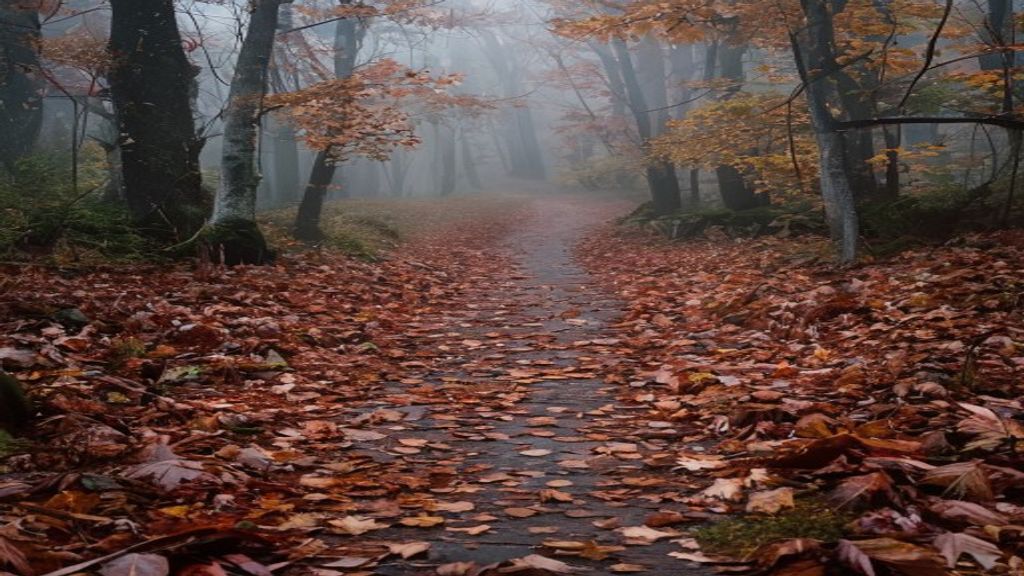 sad quotes for instagram misty forest path