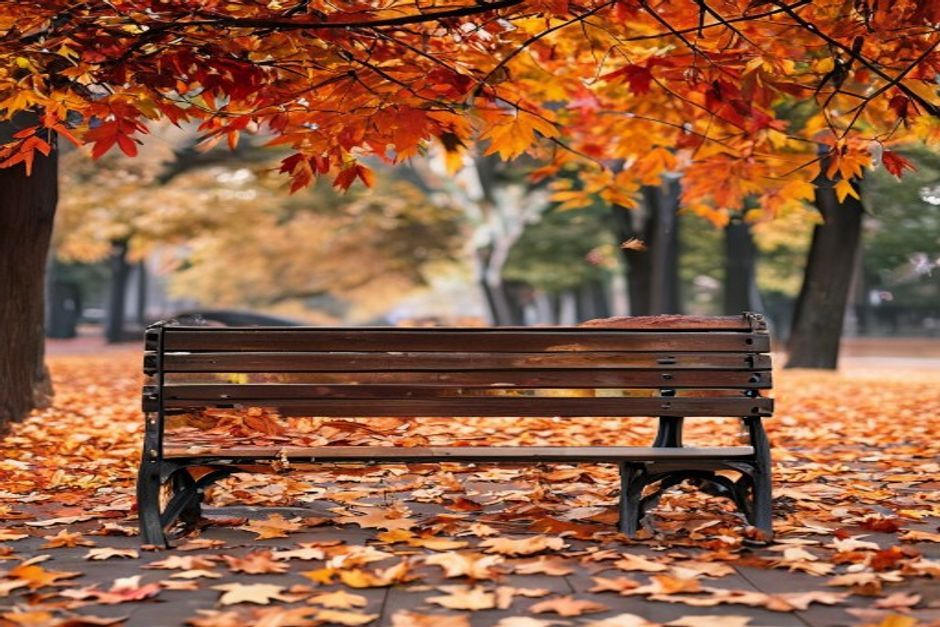 Empty park bench in autumn - comforting quotes